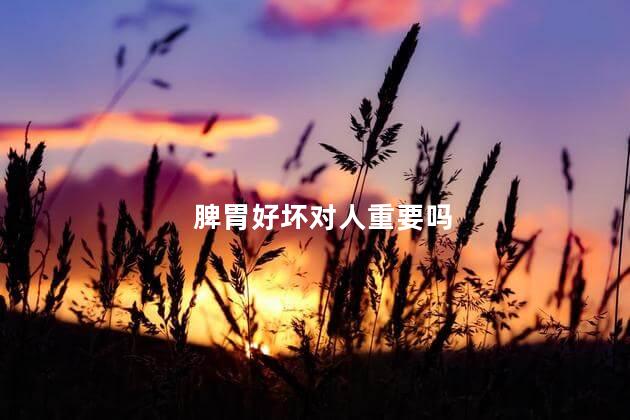 脾胃好坏对人重要吗