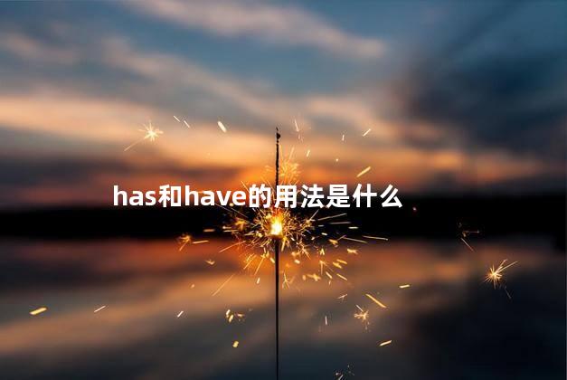 has和have的用法是什么