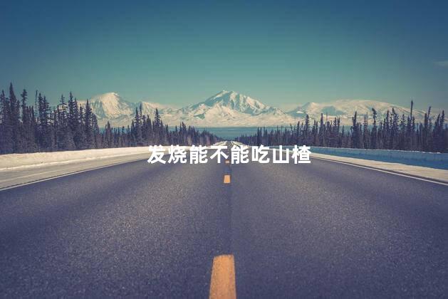 发烧能不能吃山楂