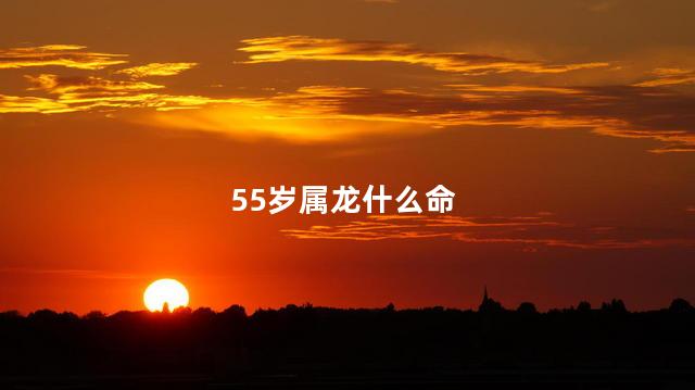 55岁属龙什么命