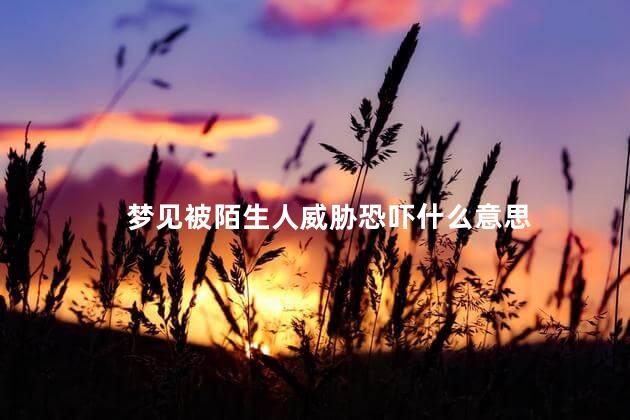 梦见被陌生人威胁恐吓什么意思