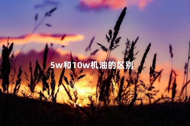 5w和10w机油的区别