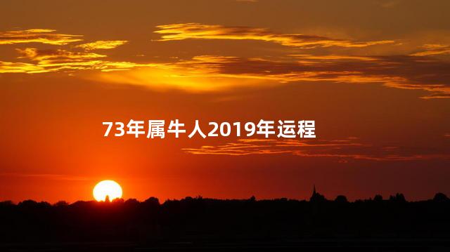 73年属牛人2019年运程