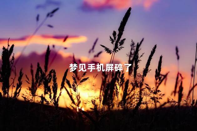 梦见手机屏碎了