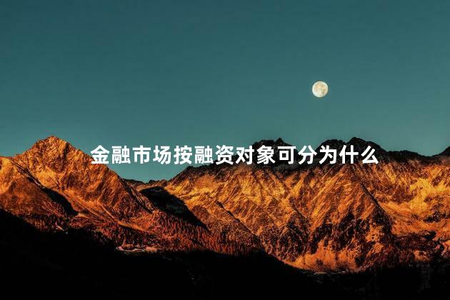 金融市场按融资对象可分为什么