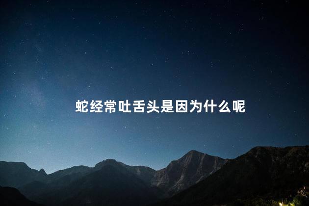 蛇经常吐舌头是因为什么呢