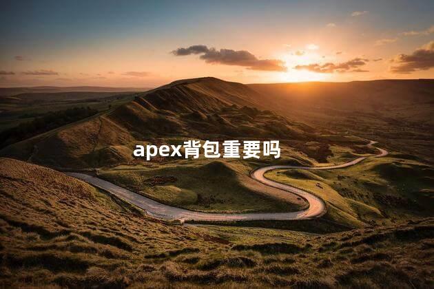 apex背包重要吗