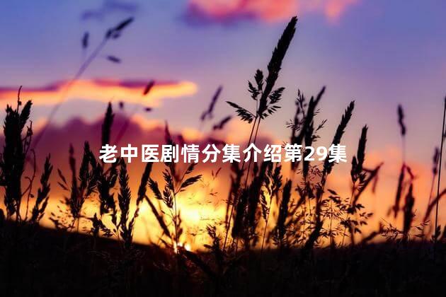 老中医剧情分集介绍第29集