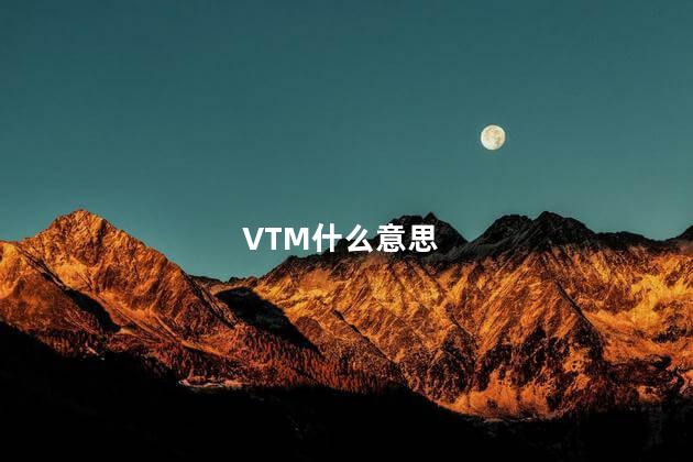 VTM什么意思