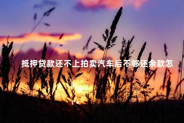 抵押贷款还不上拍卖汽车后不够还余款怎么办