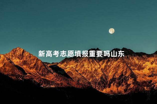 新高考志愿填报重要吗山东