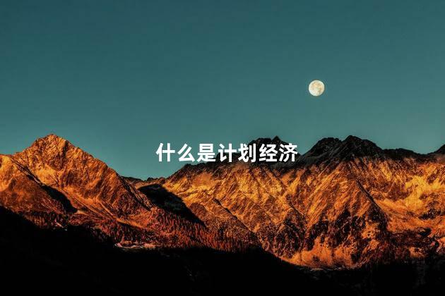 什么是计划经济