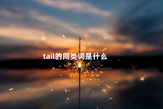 tail的同类词是什么