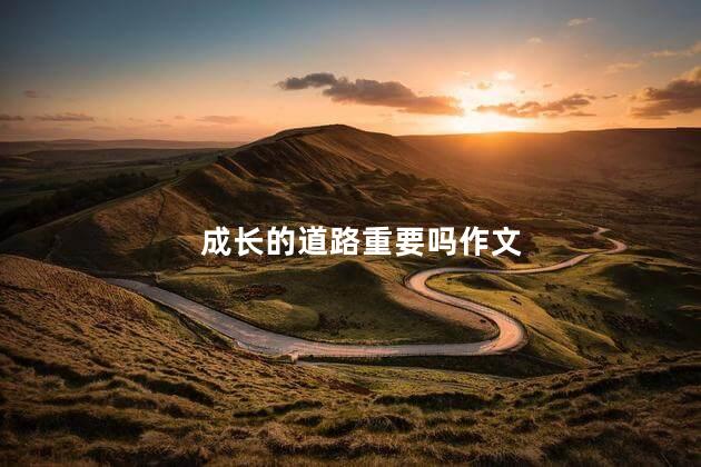 成长的道路重要吗作文