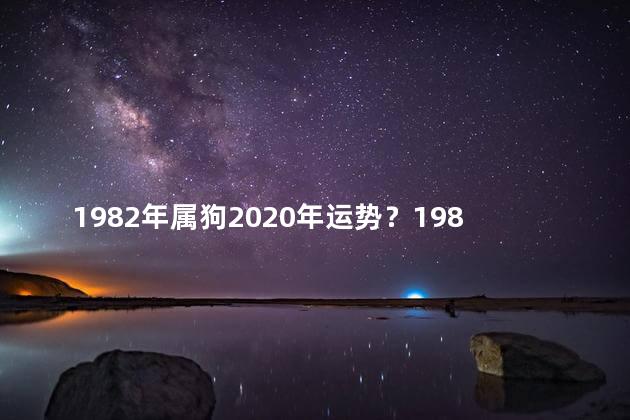 1982年属狗2020年运势？1982年属狗2020年运势：展望热狗们的未来