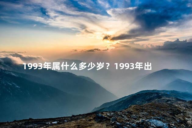 1993年属什么多少岁？1993年出生的人现在多大岁数