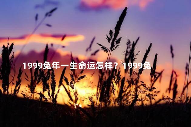 1999兔年一生命运怎样？1999兔年生肖运势如何