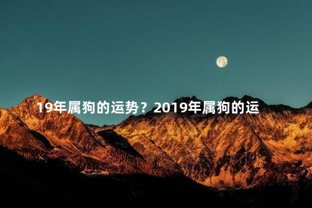 19年属狗的运势？2019年属狗的运势：祥瑞临门，财运亨通