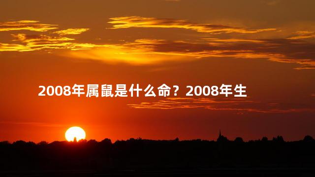 2008年属鼠是什么命？2008年生肖鼠的命运怎么样