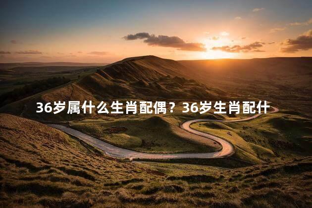 36岁属什么生肖配偶？36岁生肖配什么？择偶指南