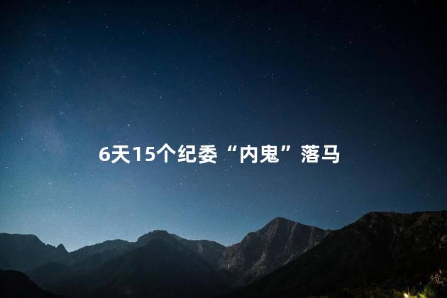 6天15个纪委“内鬼”落马 引发了广泛的关注和震动