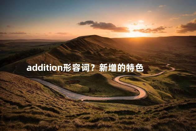 addition形容词？新增的特色