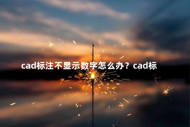 cad标注不显示数字怎么办？cad标注数字不显示的解决办法