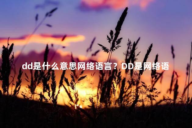 dd是什么意思网络语言？DD是网络语言中的缩写，意味着什么？