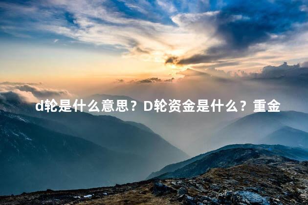 d轮是什么意思？D轮资金是什么？重金打造企业发展新篇章！