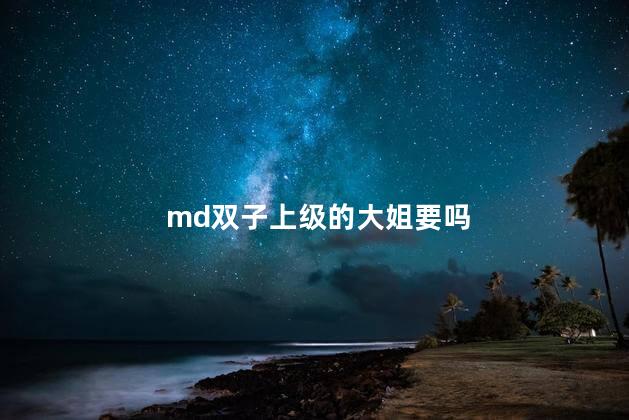 md双子上级的大姐要吗