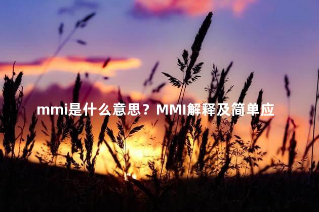 mmi是什么意思？MMI解释及简单应用