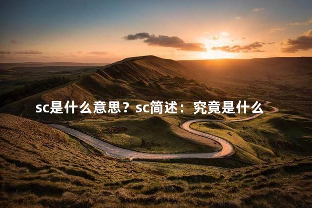 sc是什么意思？sc简述：究竟是什么？真相大揭秘