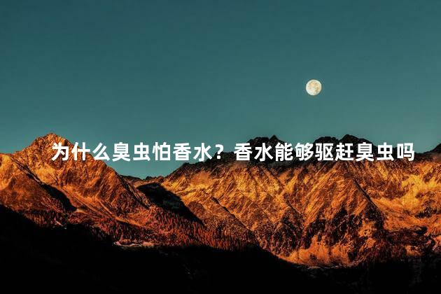 为什么臭虫怕香水？香水能够驱赶臭虫吗？35字以内