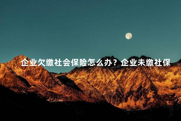 企业欠缴社会保险怎么办？企业未缴社保如何处理