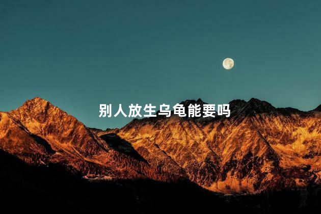 别人放生乌龟能要吗