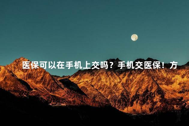 医保可以在手机上交吗？手机交医保！方便快捷还省时