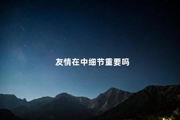 友情在中细节重要吗