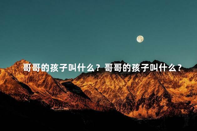 哥哥的孩子叫什么？哥哥的孩子叫什么？取一个好听又有意义的名字！