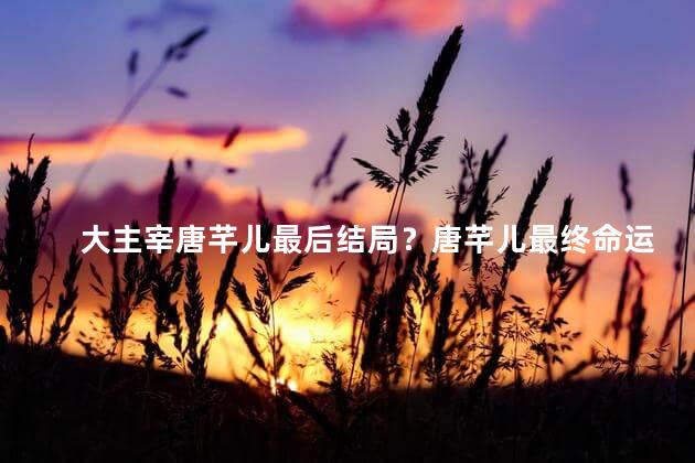 大主宰唐芊儿最后结局？唐芊儿最终命运揭晓