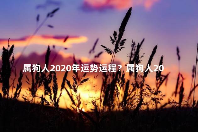 属狗人2020年运势运程？属狗人2020全年运势分析