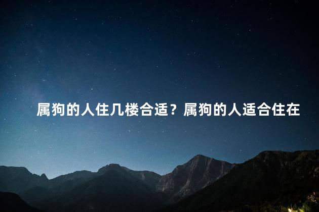 属狗的人住几楼合适？属狗的人适合住在几楼？