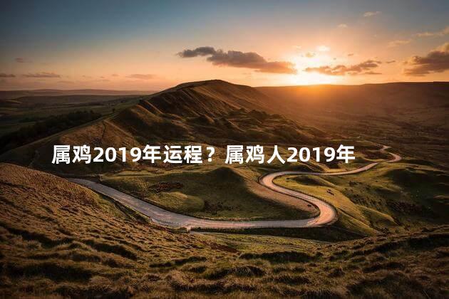 属鸡2019年运程？属鸡人2019年运势揭晓：吉祥如意,浑身充满好运！