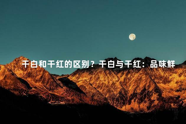 干白和干红的区别？干白与干红：品味鲜明，一览无遗