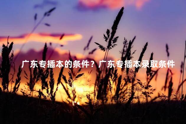 广东专插本的条件？广东专插本录取条件全解析