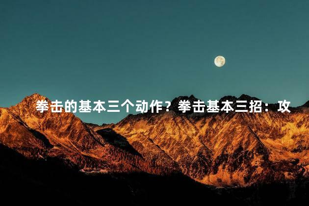 拳击的基本三个动作？拳击基本三招：攻击、防御、闪躲！