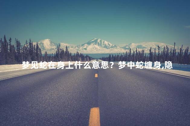 梦见蛇在身上什么意思？梦中蛇缠身，隐含什么含义？