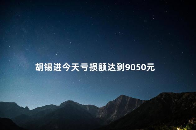 胡锡进今天亏损额达到9050元 投资者要谨慎对待投资